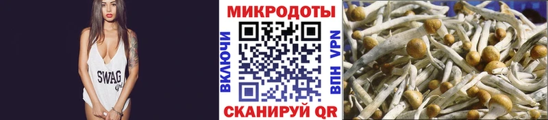 Галлюциногенные грибы мухоморы  Сретенск 